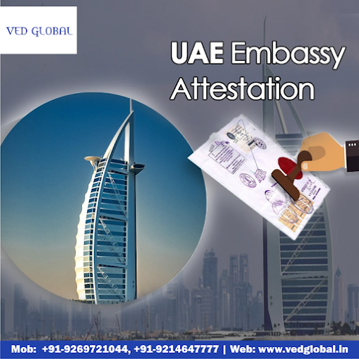 Af1qipnq0mujsq3bfpvut7y82e 1lwt8n 0nqydcftox=s508 K No