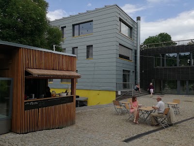 Photos of Open garden