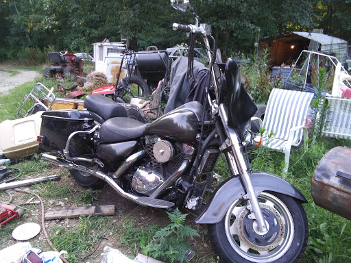 Deemon Cycle - Visual