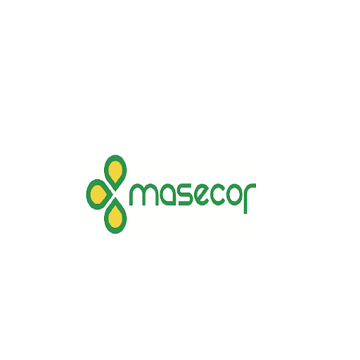 Masecor Sl - Visual