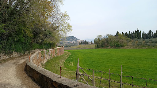 Celeste del Garda - Thumbnail
