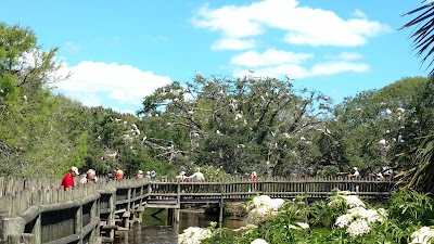 Photos of St. Augustine Alligator Farm Zoological Park
