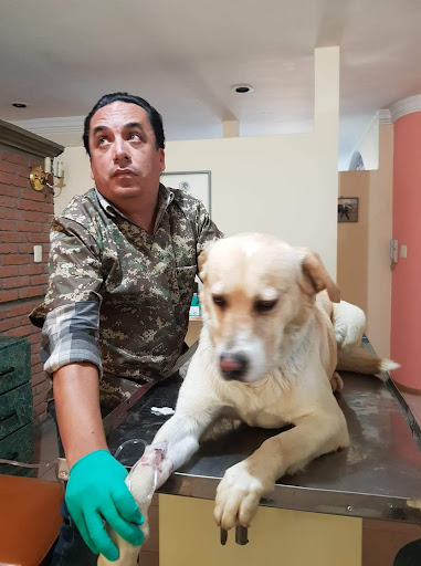 CENTRO MEDICO VETERINARIO