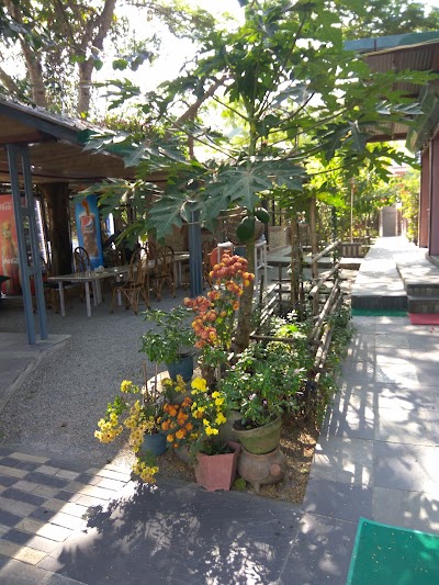 Photos of Hidden Nature Caf&eacute;