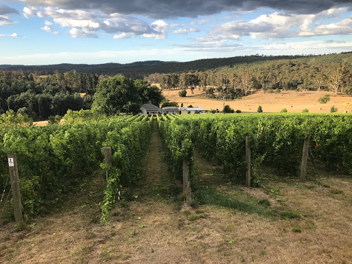 APOGEE TASMANIA - Thumbnail
