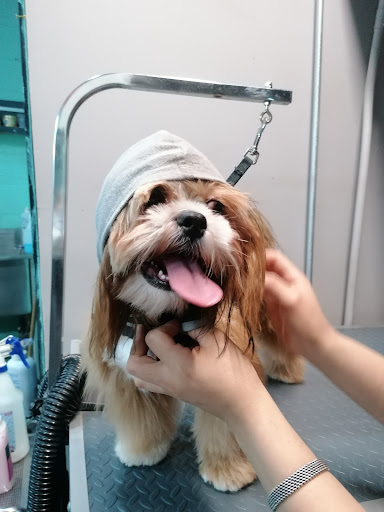 Rabos y Trufas Veterinaria y Estética Canina