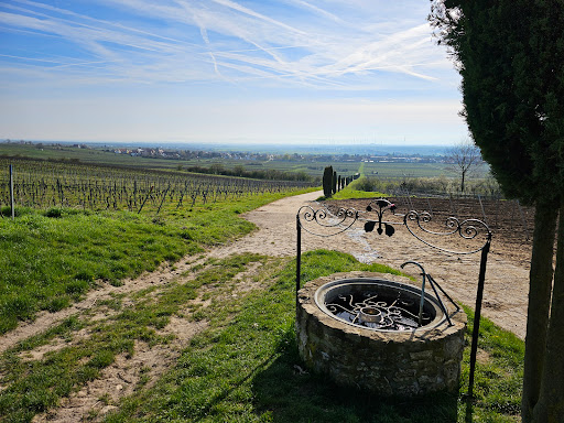 Brunnen im Weinberg - Thumbnail