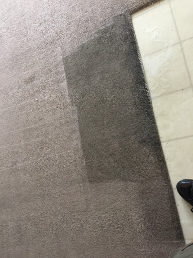 Actually Clean - Visual