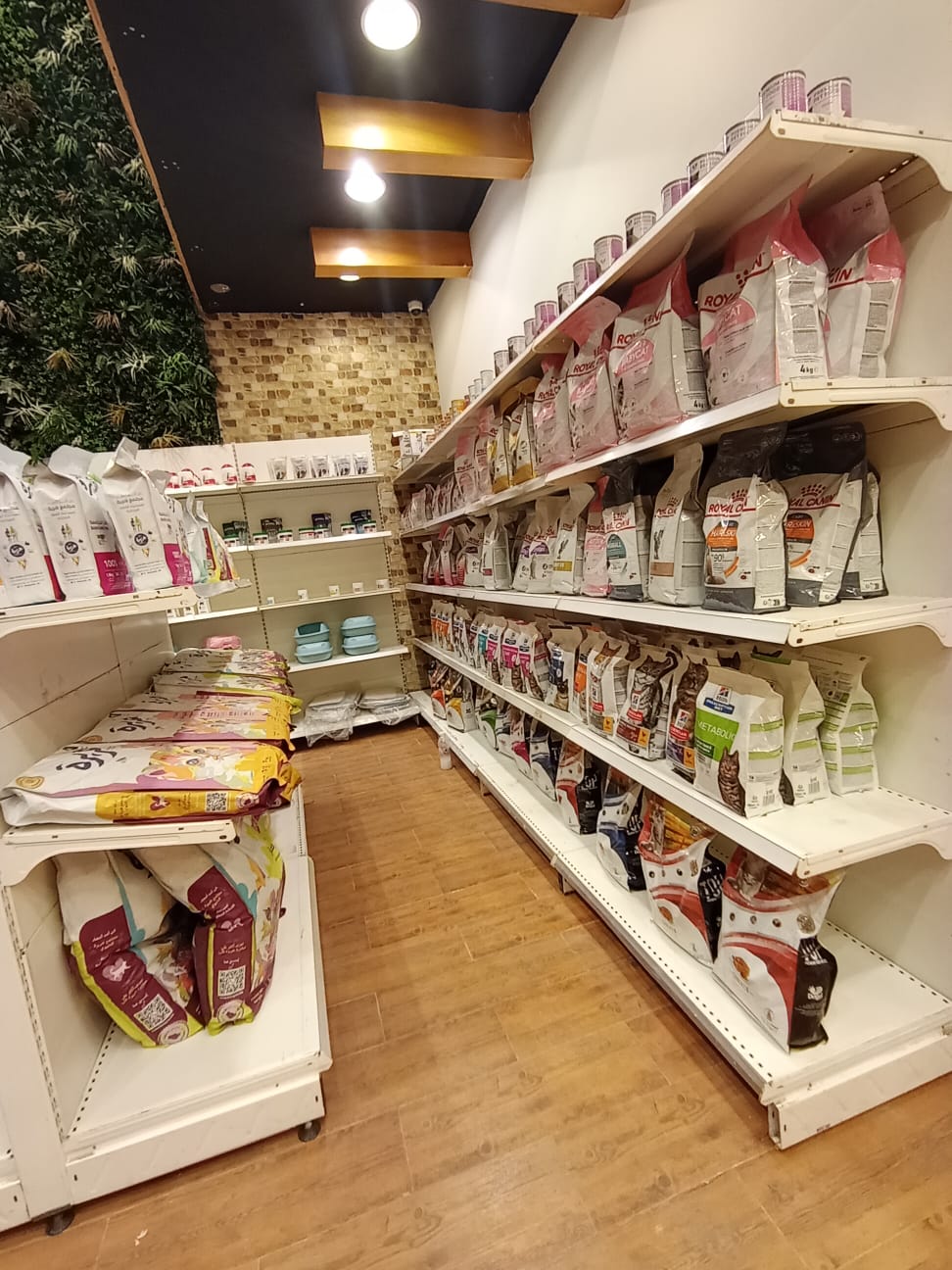 عيادة فلوريا للرعاية البيطرية - النهضة - صورة 2