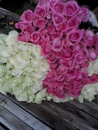 Photos of Iqbal Florist