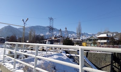 Photos of Kadamzhai High School #17