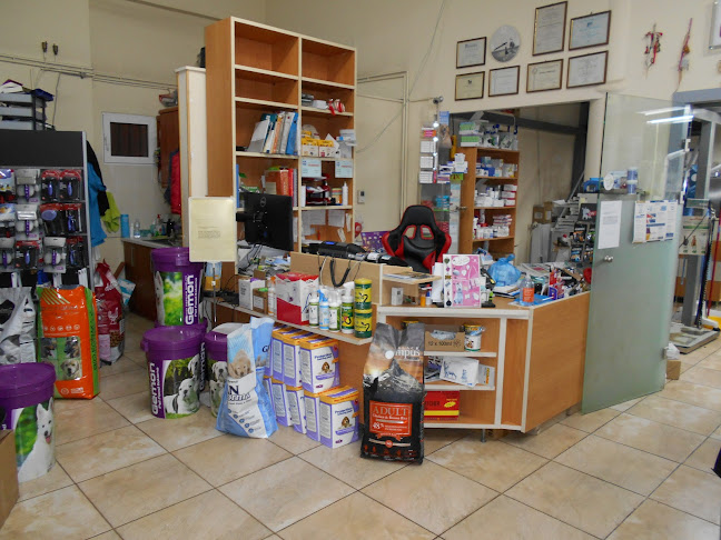 ΠΑΓΟΥΡΤΖΗΣ ΚΩΝΣΤΑΝΤΙΝΟΣ Κτηνιατρος - Βόλος