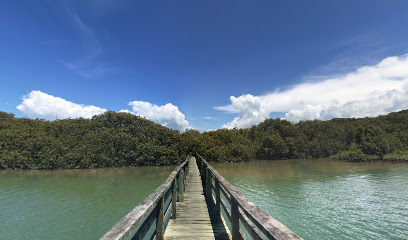 Hutia Creek