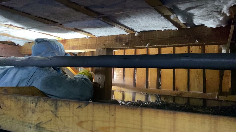 テオリアランバーテック｜シロアリ駆除・予防