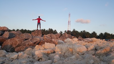 Photos of Mas Fengandu