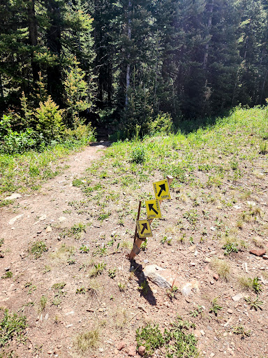 Sierra Club Loop Trailhead - Thumbnail