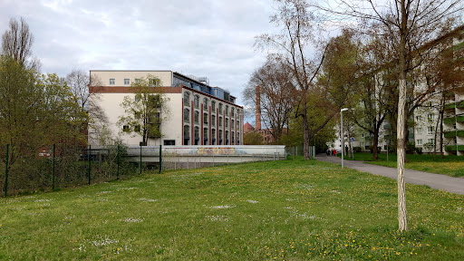 Blühwiese