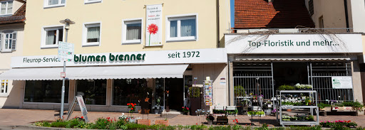 Blumen Brenner - Visual