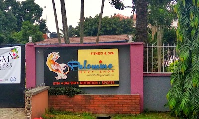 Photos of Palomino Body Shop