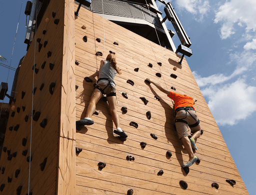 Safari Outdoor Adventure Park - Thumbnail