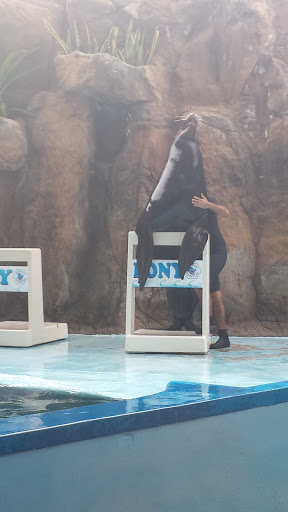 Cerrajería Acuario Gallery - Mexico