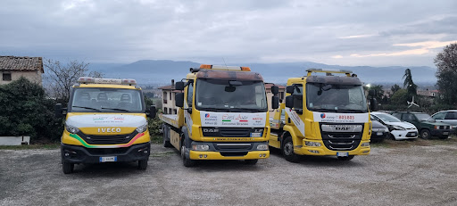 Corsi Auto srl - Visual