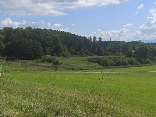 Wanderweg Kerschlach - Thumbnail