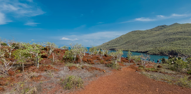 Isla Rabida - Carnicería