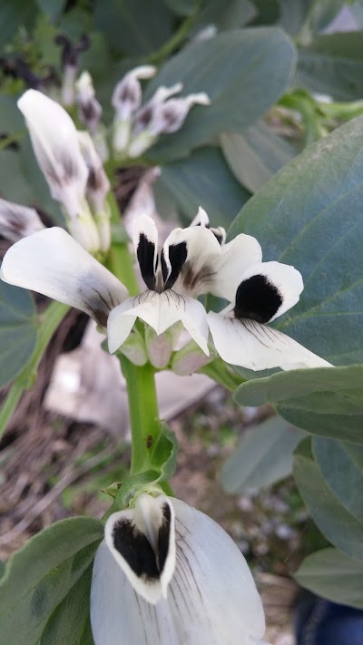 Photos of پارک لادن