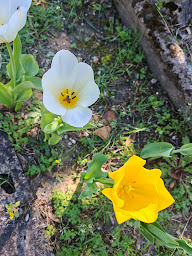 Photo n°6 de Mas La Belle Ambroise - Chambres d'hôtes et Gîte à Saint-Ambroix (Chambre d'hôtes)