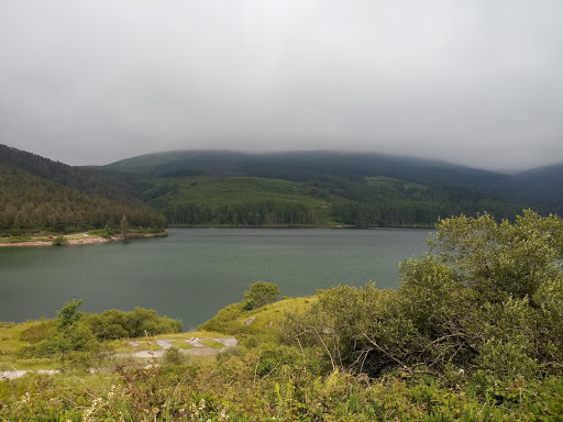 Embalse de Alsa - Visual