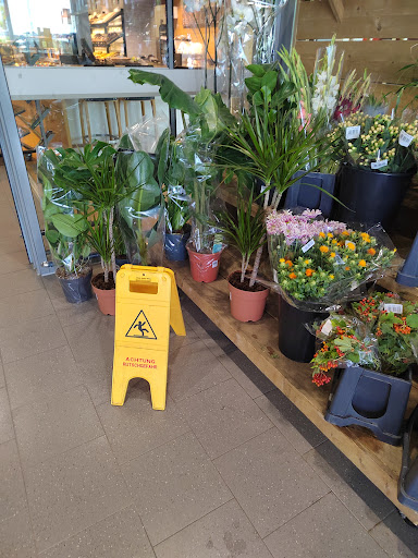 EDEKA Georg - Visual