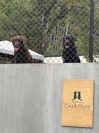 DOGRUN Gu&Miche