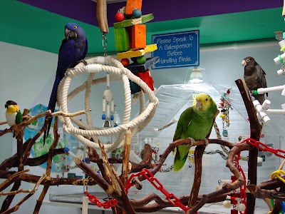 Parrot Island