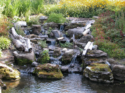 AquaPlantes
