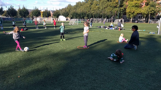 Anmeldelser af Den bemandede legeplads i Nørrebroparken i Nørrebro - Skole