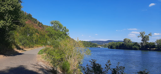 Radweg Schweich - Issel - Thumbnail