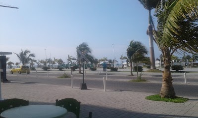 Photos of Froz me Las Palmas