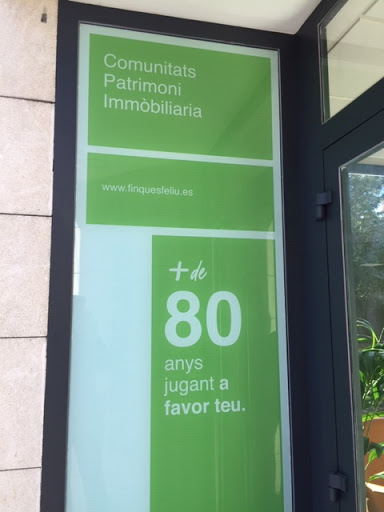 Feliu real estate