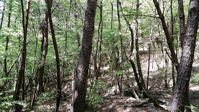 Photos of 지리산둘레길함양센터