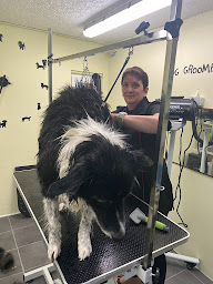 Photo n°5 de Look Dog à Altorf (Toiletteur)