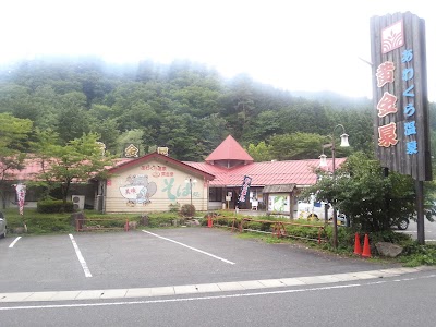 Photos of 湯～とぴあ 黄金泉