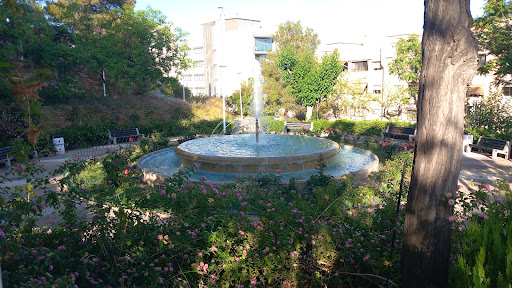 Censal Park - Thumbnail
