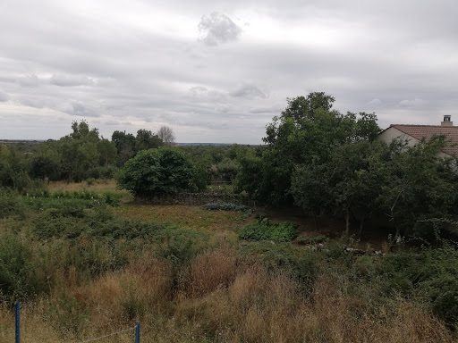 Columpios Park - Visual