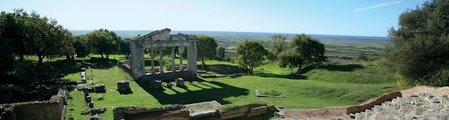 Apollonia