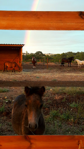 Au P'tit Poney Club - Thumbnail
