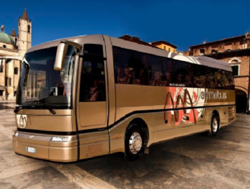 Emmebus - Visual