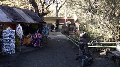 Photos of Turismo Lago Llanquihue