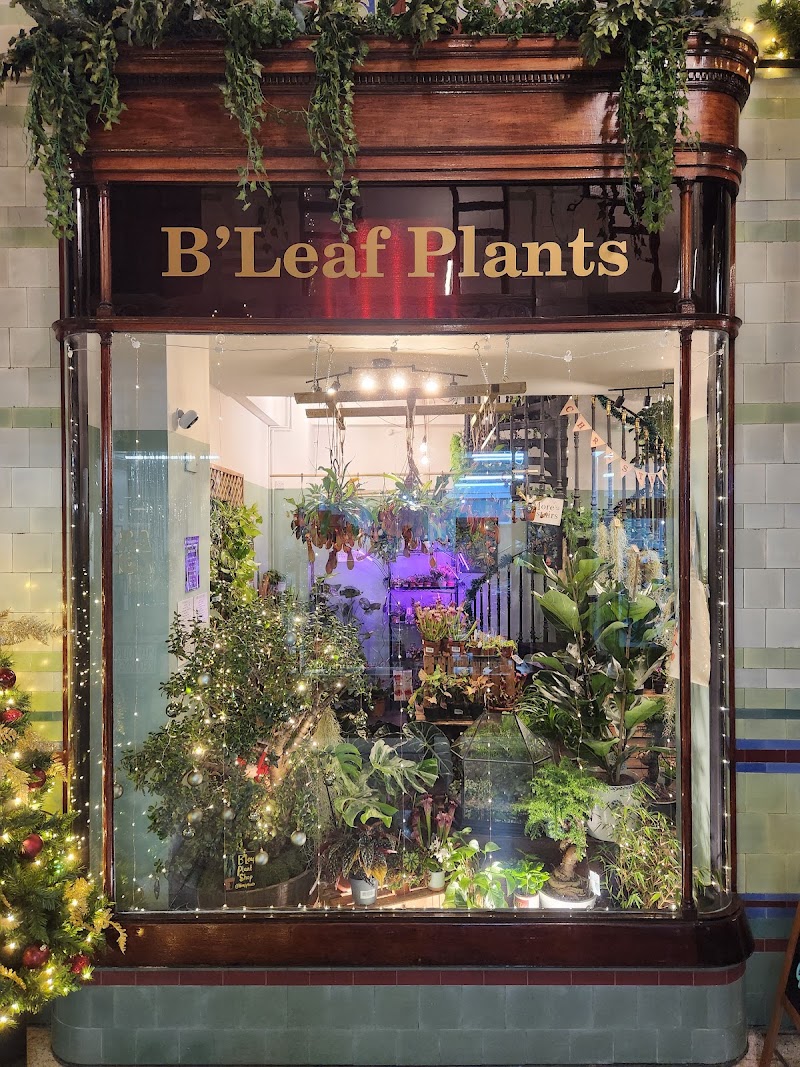 B'Leaf Plant Shop, Norwich photo 2