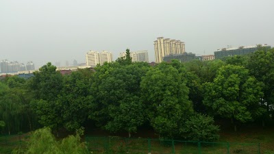 park